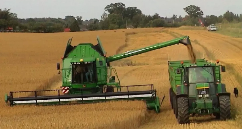 Молодые специалисты все чаще пользуются господдержкой при трудоустройстве в АПК