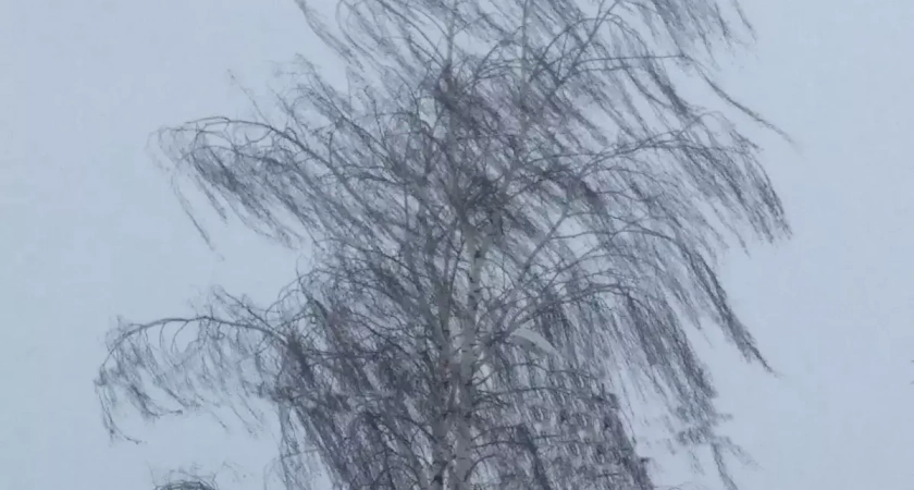 Синоптики предостерегают ивановцев от налипания мокрого снега, сильного ветра и гололедицы
