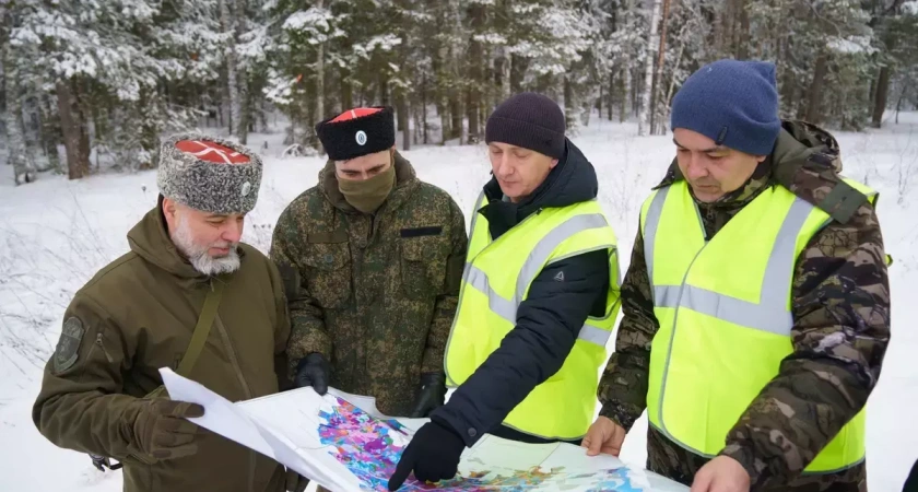 В Ивановской области казаки и лесные инспекторы спасают елки от незаконной вырубки