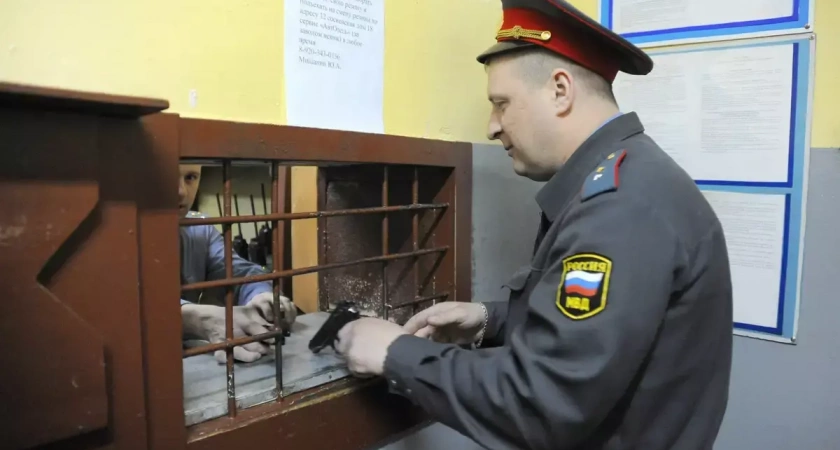 Житель Кохмы угрожал полицейским и заработал уголовное дело