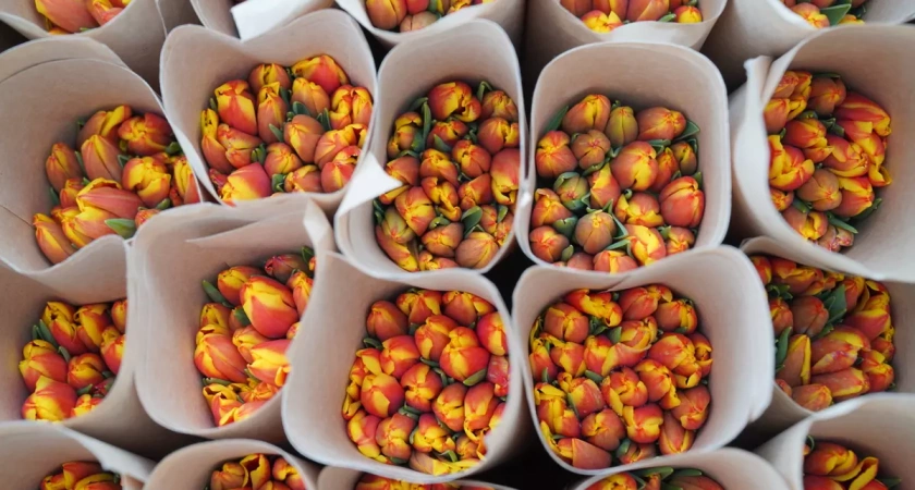 Власти объяснили, почему на 8 марта у ивановцев не будет трех выходных