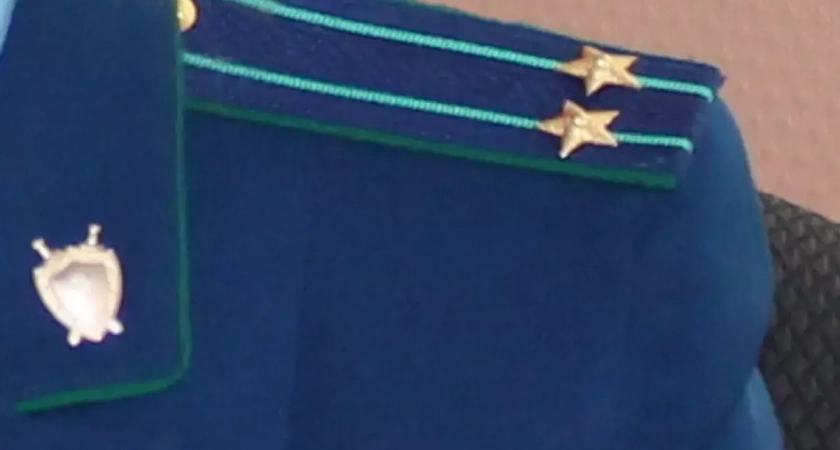 В Вичуге суд приговорил должника по алиментам к полугоду колонии