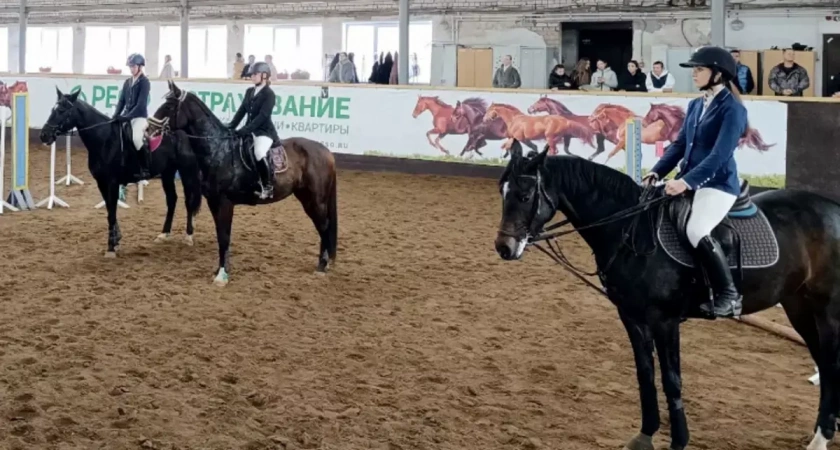 В Иванове пройдут соревнования по конкуру