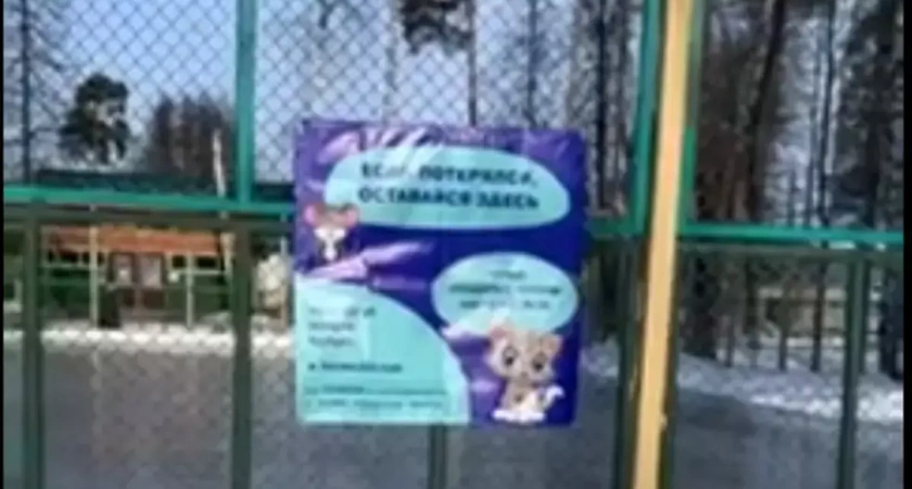 Дети, потерявшиеся в ивановском парке Степанова, будут быстрее находиться