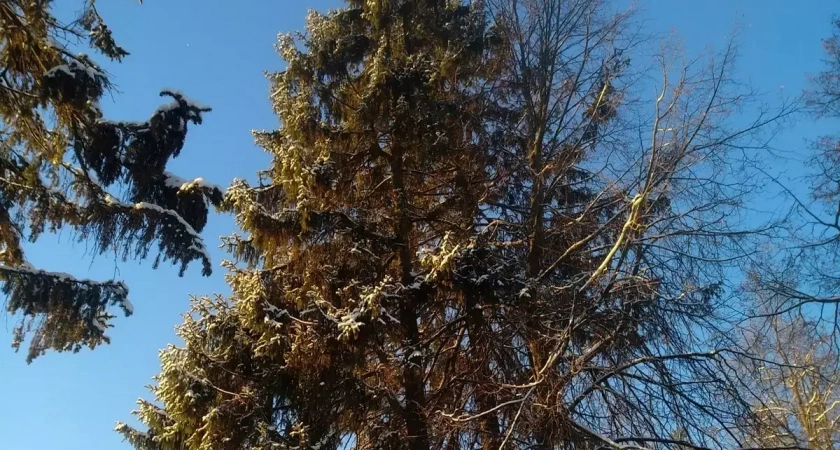 В четверг, 6 марта, синоптики обещают ивановцам солнечные прояснения и плюсовую температуру