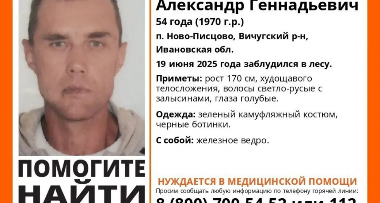 В Ивановской области ищут пропавшего в лесу 54-летнего мужчину