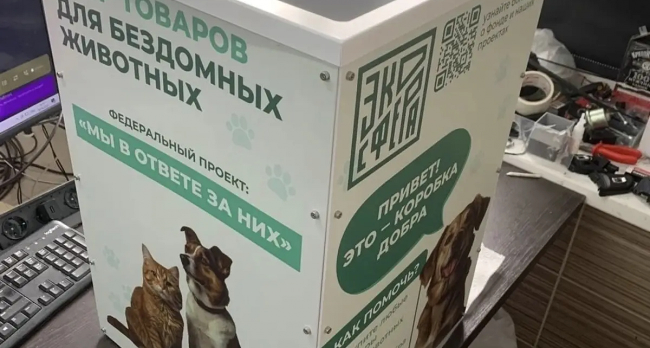 8 "Коробок добра" установили в Ивановской области для сбора корма бездомным животным