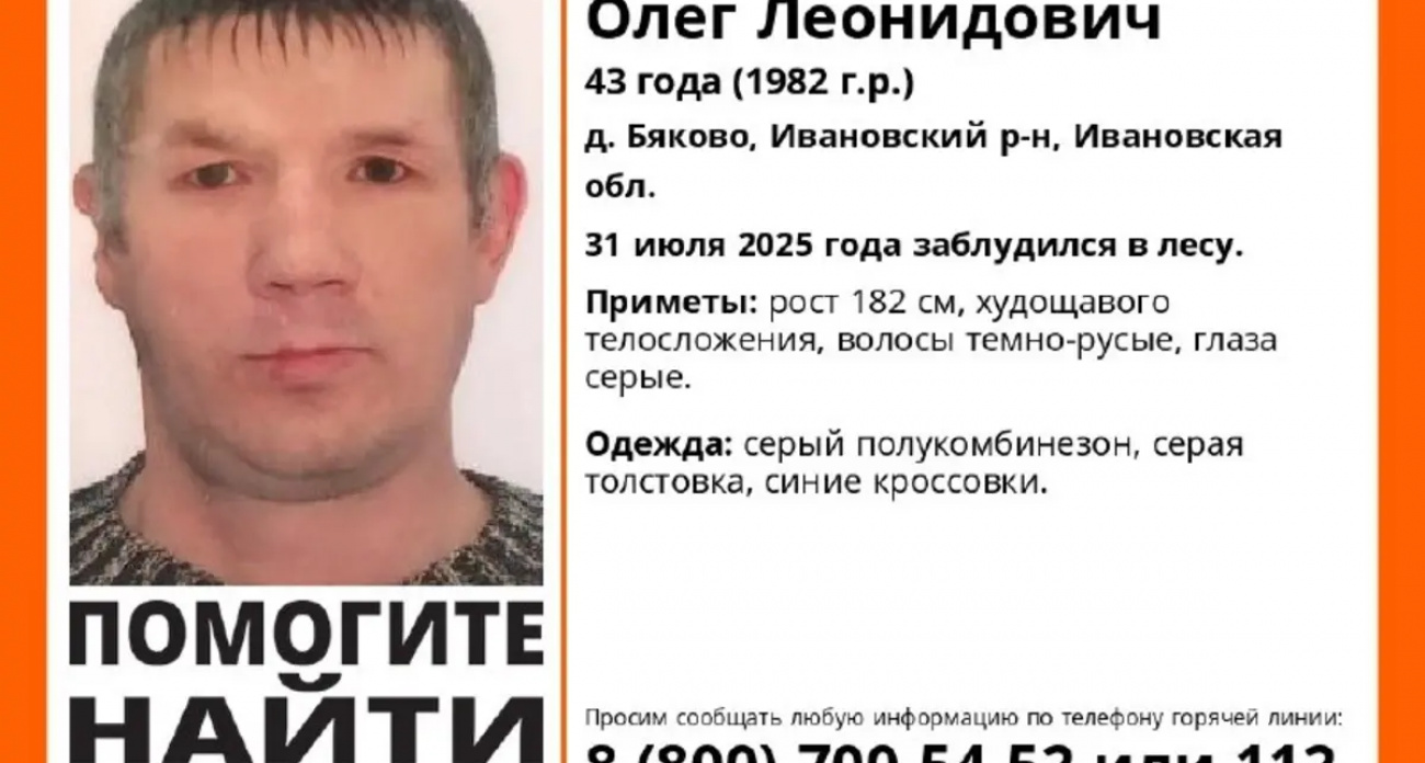 В Ивановской области четвертый день ищут заблудившегося в лесу 43-летнего мужчину