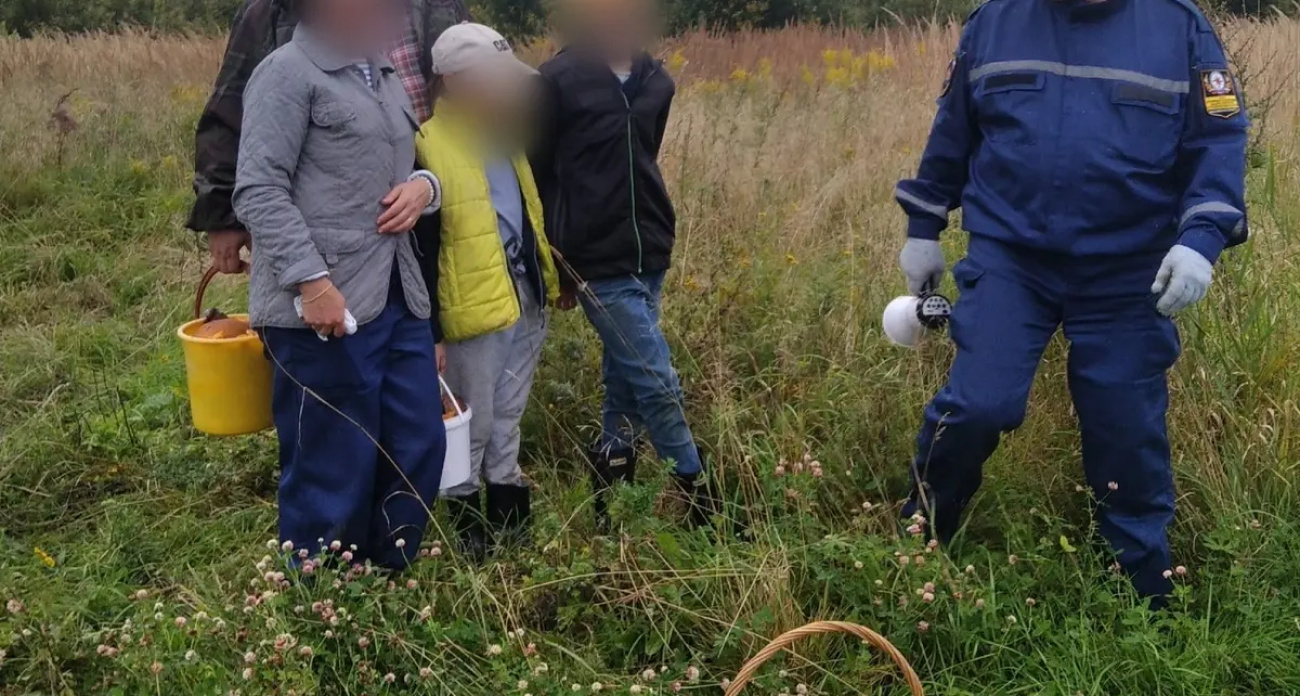За 8 часов субботы поисковики получили 15 заявок: 30 человек заблудились в лесах