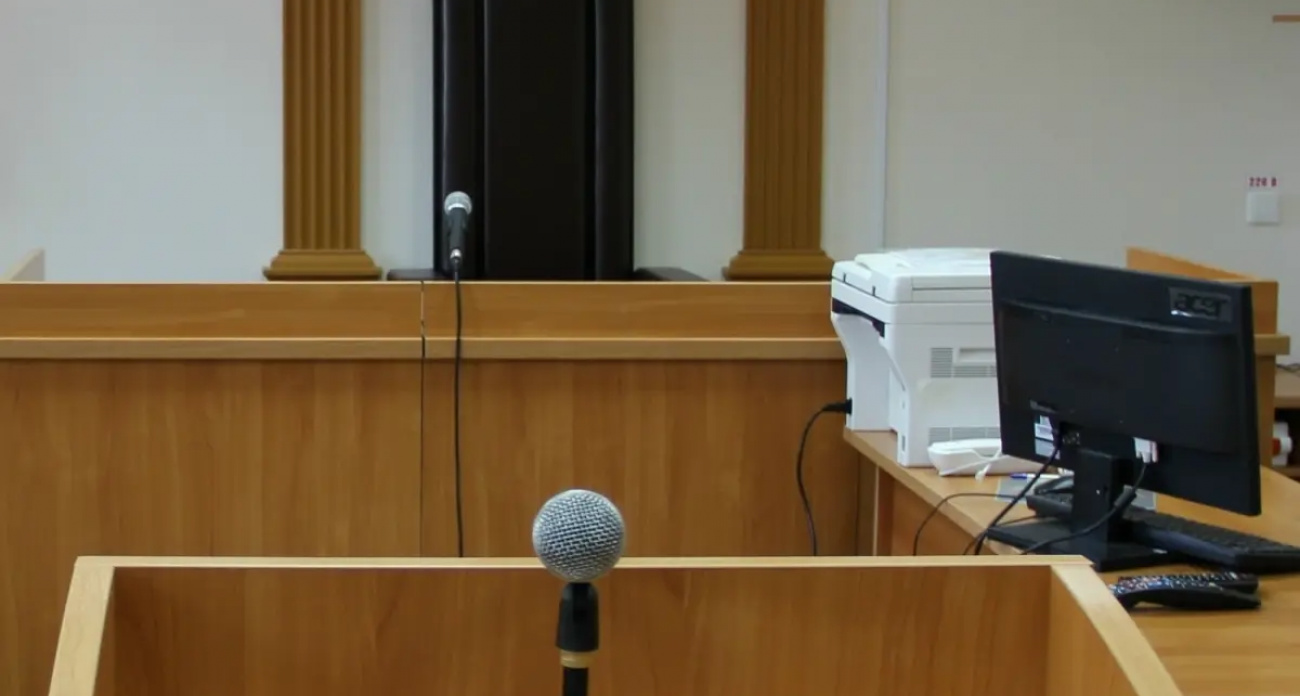Бездомная собака покусала ребенка на даче: прокуратура требует 100 тысяч с властей Верхнего Ландеха
