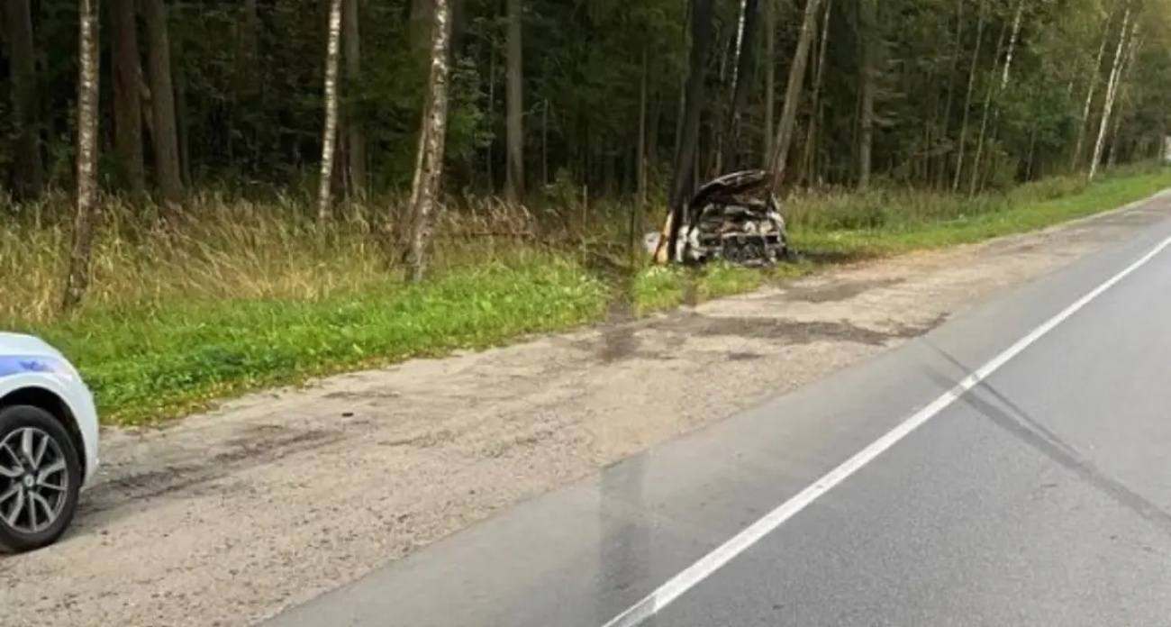 Ночью на трассе "Золотое Кольцо" Audi A6 превратилась в пылающий факел после удара о дерево