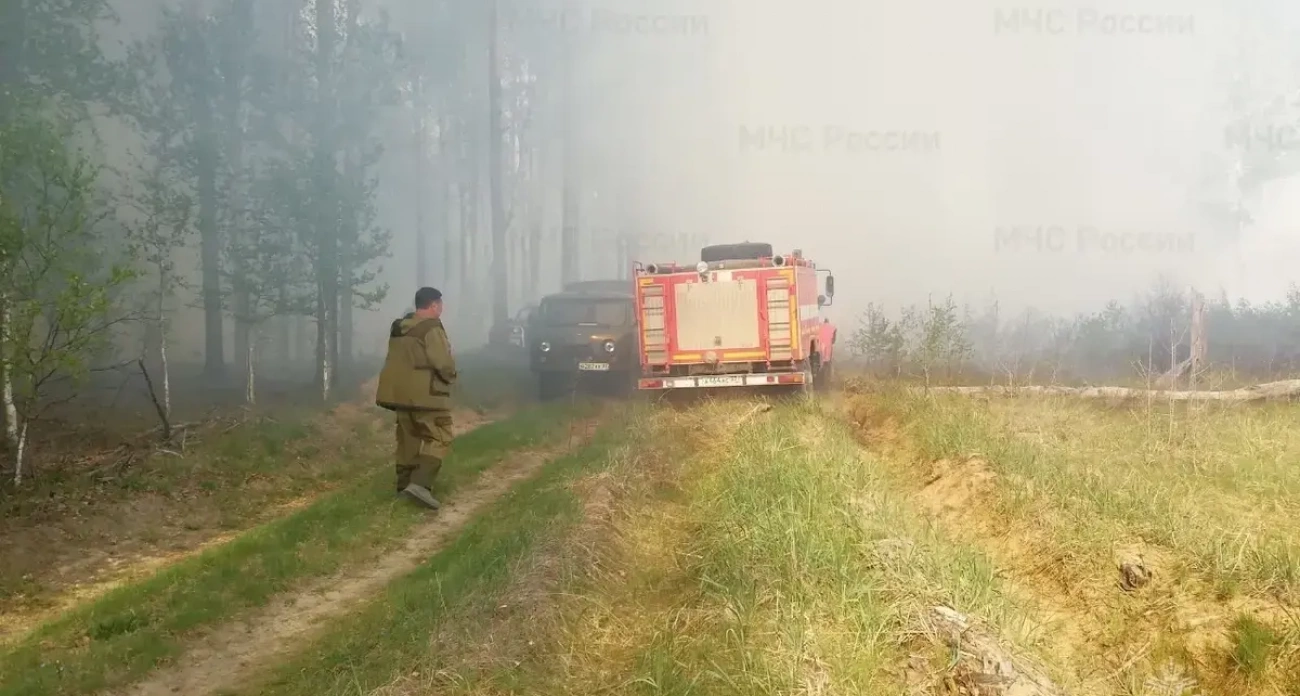 МЧС объявило трёхдневную пожароопасность в Ивановской области: запрет на костры и выходы в лес