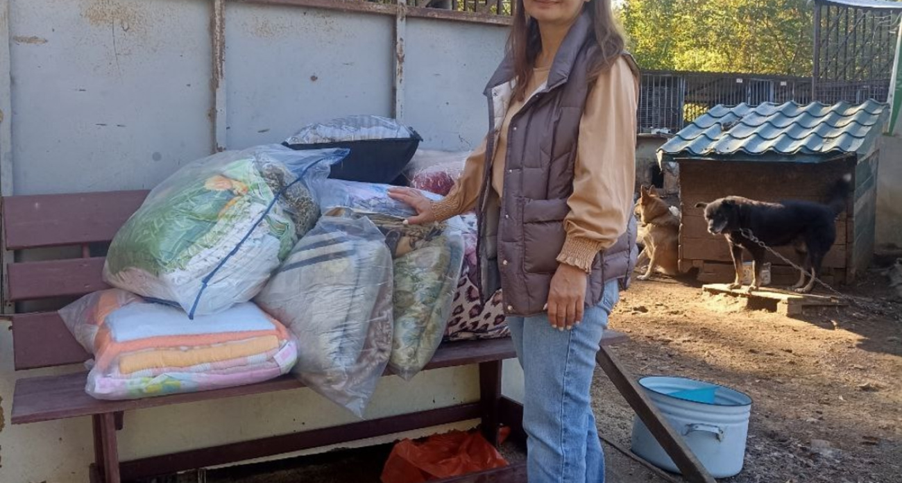 Ивановцы массово скупают макароны: приют варит тонну еды в день для голодающих животных