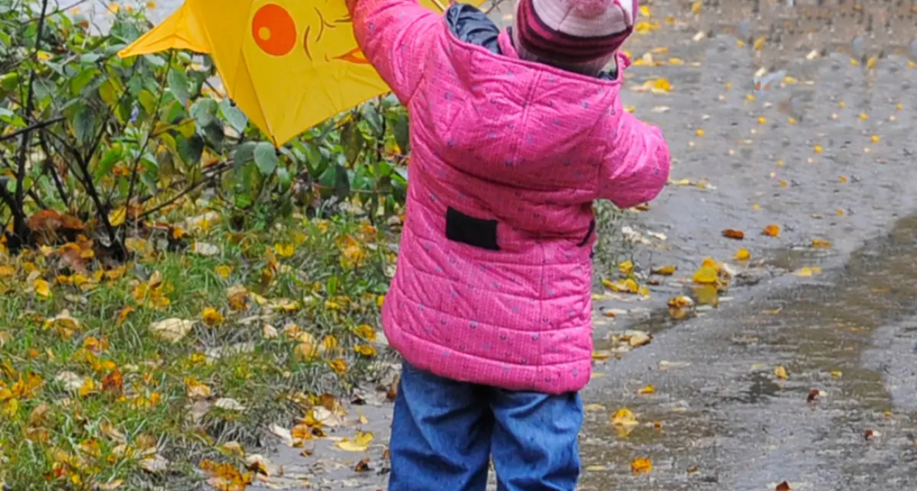 Западный ветер до 11 м/с и ночные +6: синоптики предупреждают о резкой смене погоды 20 сентября