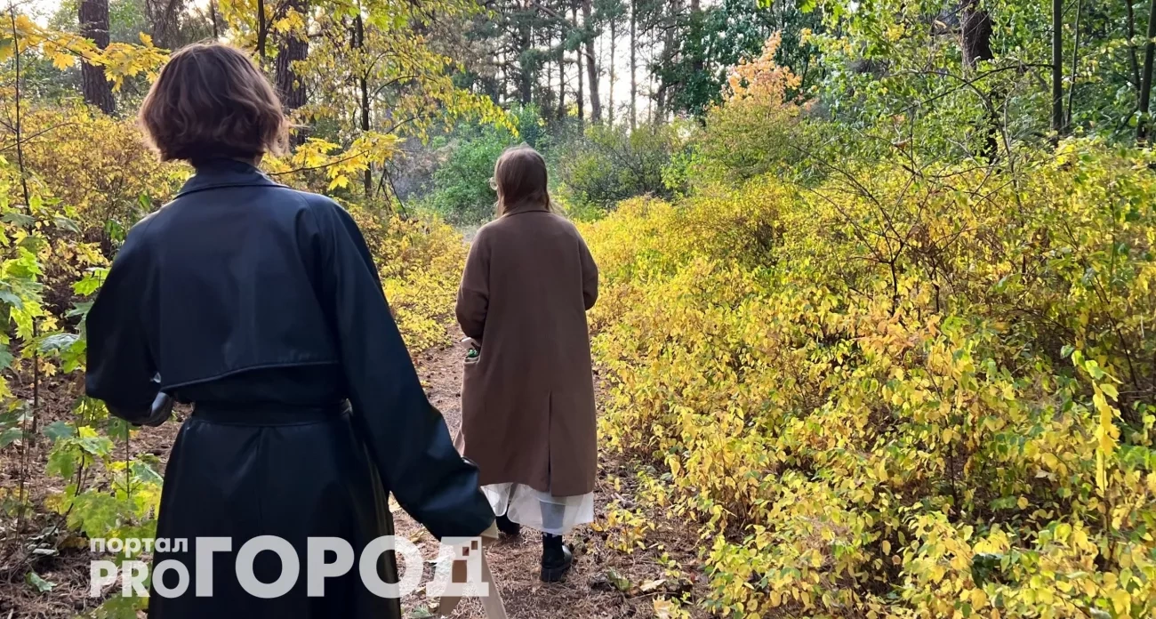 Тельцам звёзды открывают денежные потоки, а Львов ждёт судьбоносная встреча — что приготовили небеса остальным знакам