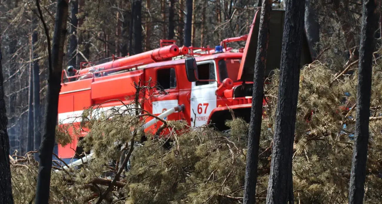 Лесные пожары в Ивановской области сократились в 6,7 раза — сезон закрыт досрочно