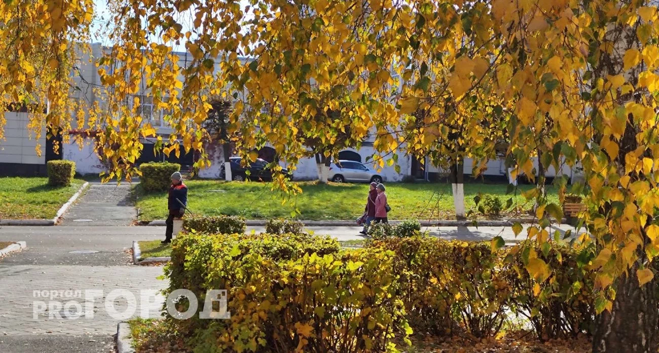 Рождённые 8, 17 или 26 числа: нумерологи раскрыли, почему к этим людям деньги идут сами