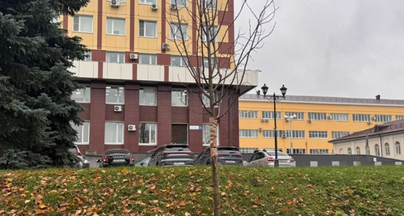 В память о погибших героях СВО: семьи бойцов высадили деревья на площади Революции