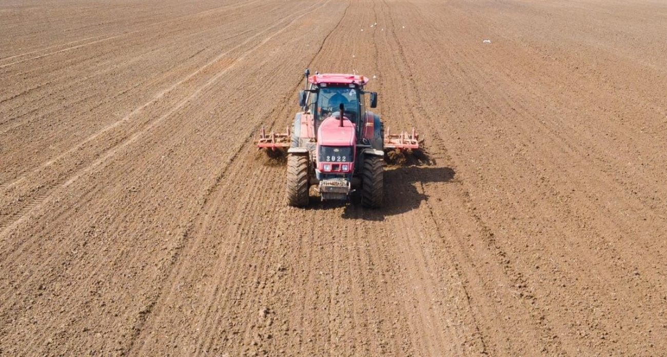 Ивановская область засеяла 21 тысячу гектаров озимых: пшеница заняла 80% посевов