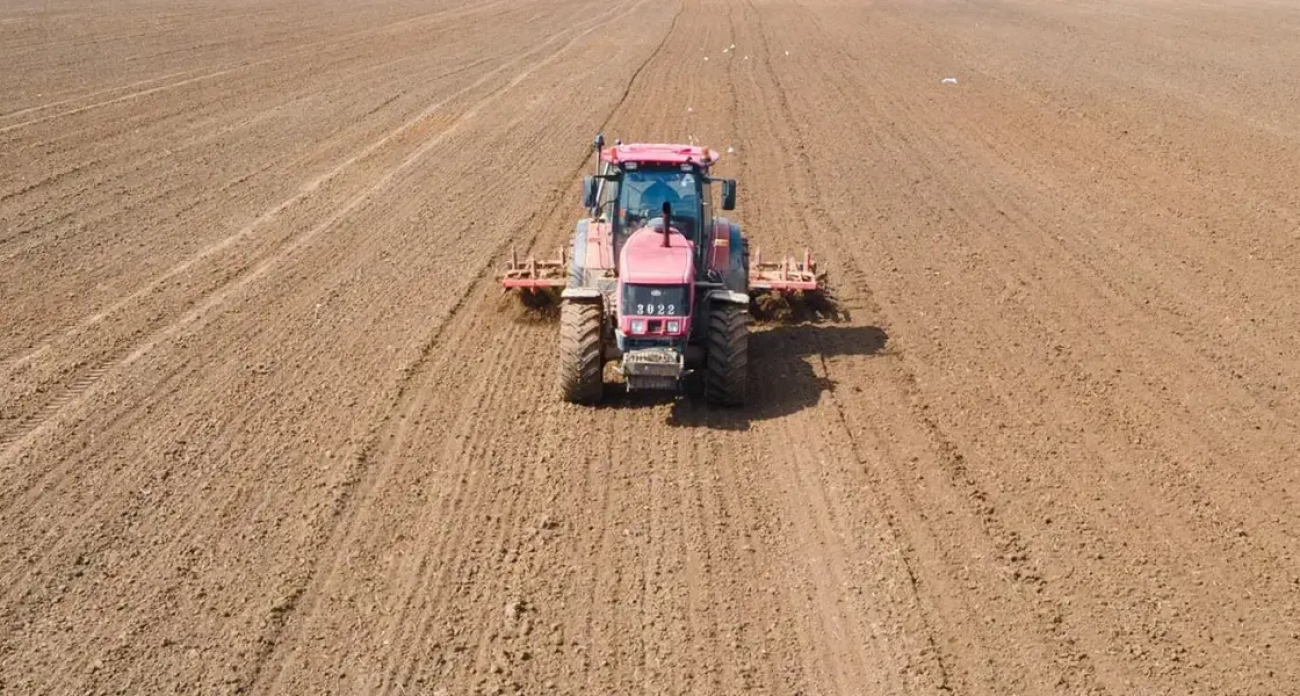 Гаврилово-Посадский район засеял 6,4 тысячи гектаров озимых – в три раза больше конкурентов
