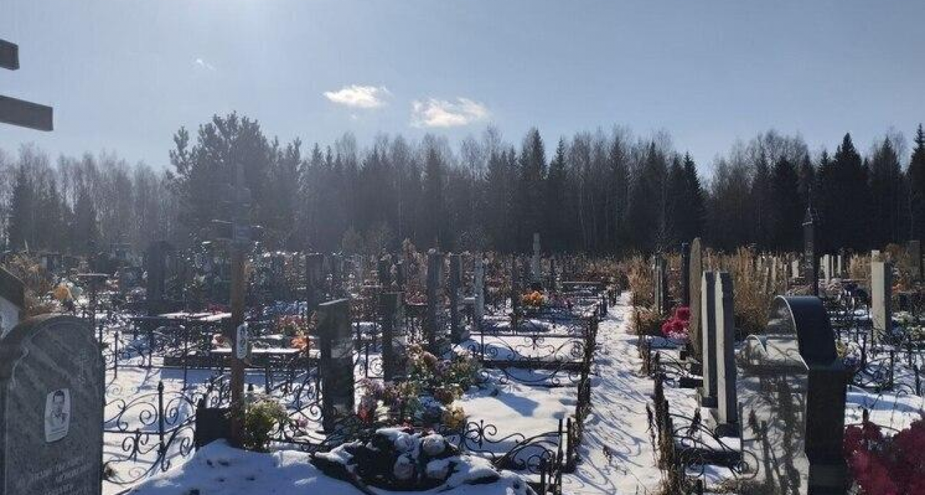 15 гектаров рядом с огородами: жители сел записали видео Бастрыкину о кладбище на их земле