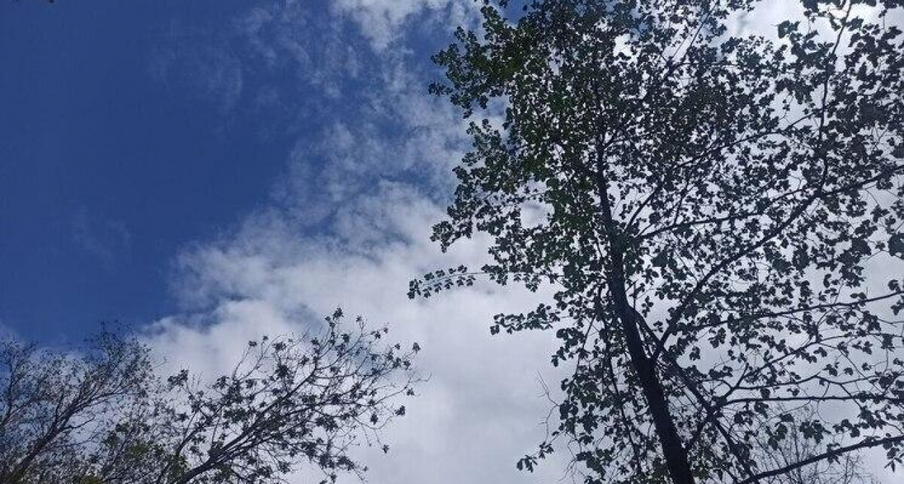 «Черный лед» и морозы до -3°: водителей предупредили об опасности 3 ноября