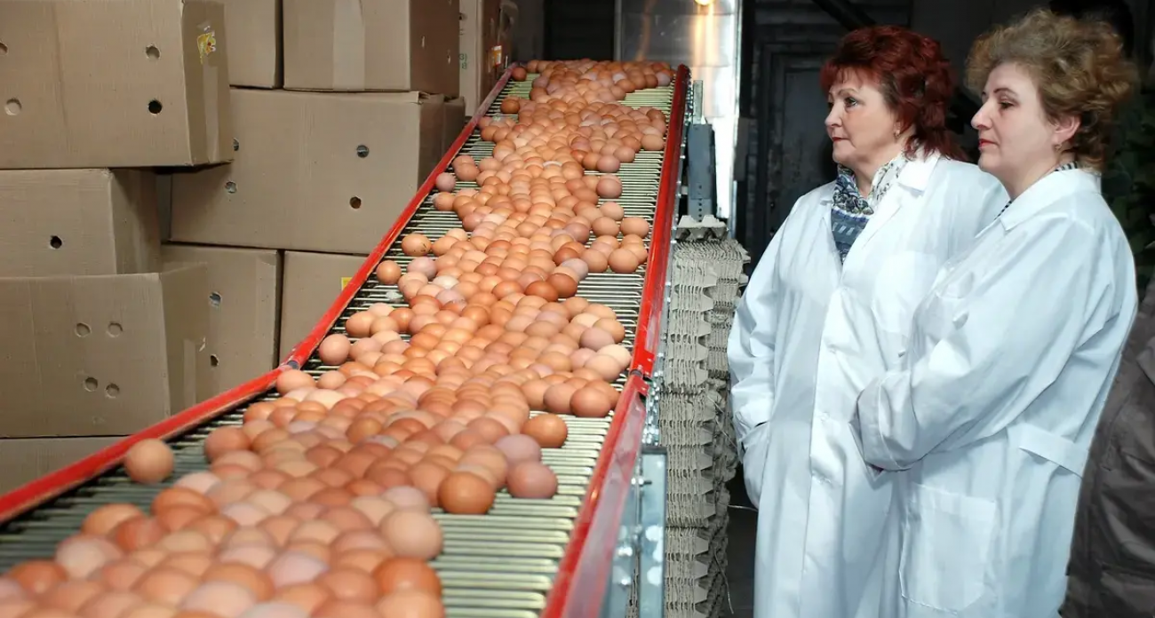 Ивановская область ворвалась в топ-5 ЦФО: рост сельхозпроизводства на 5,7%