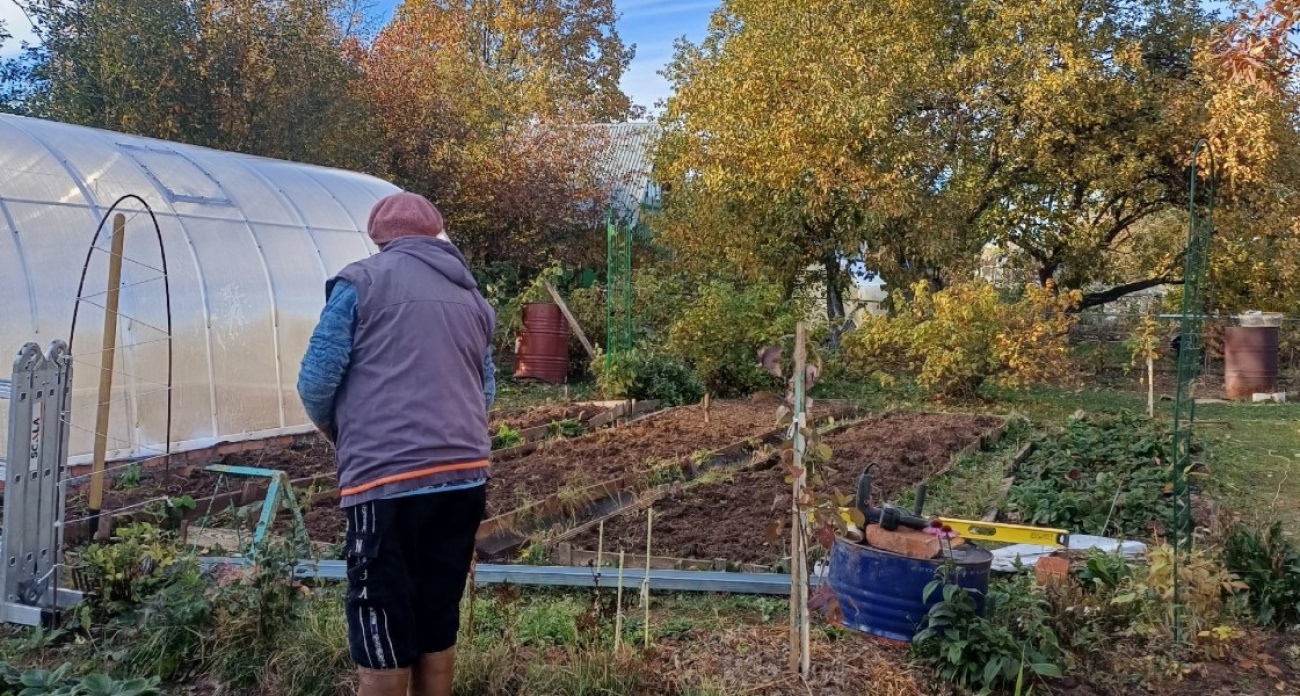 Горсть этого порошка работает как тонна перегноя: опытные огородники вносят осенью, а к весне почва становится жирнее магазинного грунта