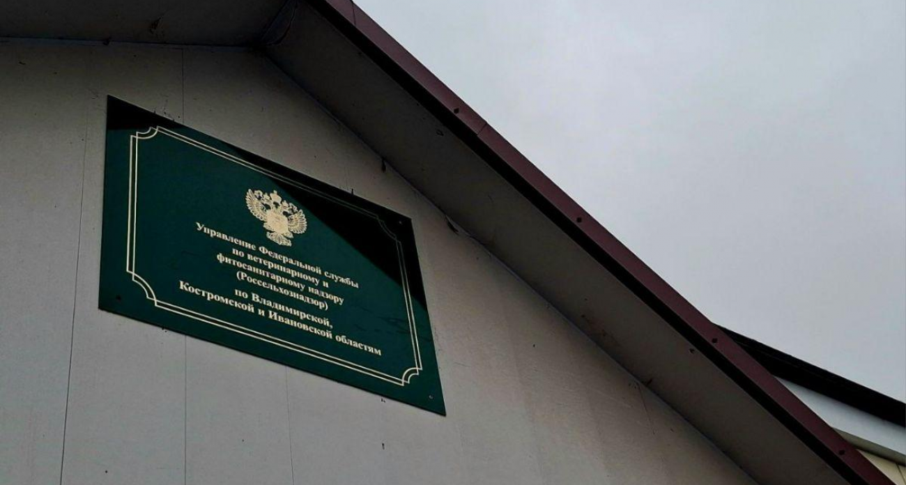 611 гектаров сорняков: предпринимателя оштрафовали на 200 тысяч рублей в Ивановской области