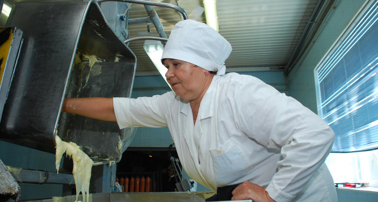 59% трудоустроенных — женщины: ивановская служба занятости ищет бактериологов и сыроделов