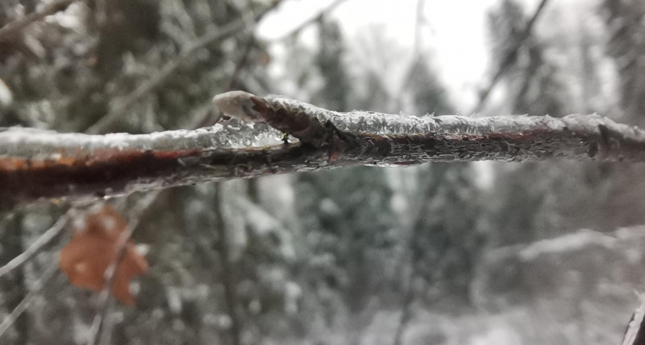 Ивановскую область накроет ледяной дождь на сутки: МЧС предупреждает о гололедице