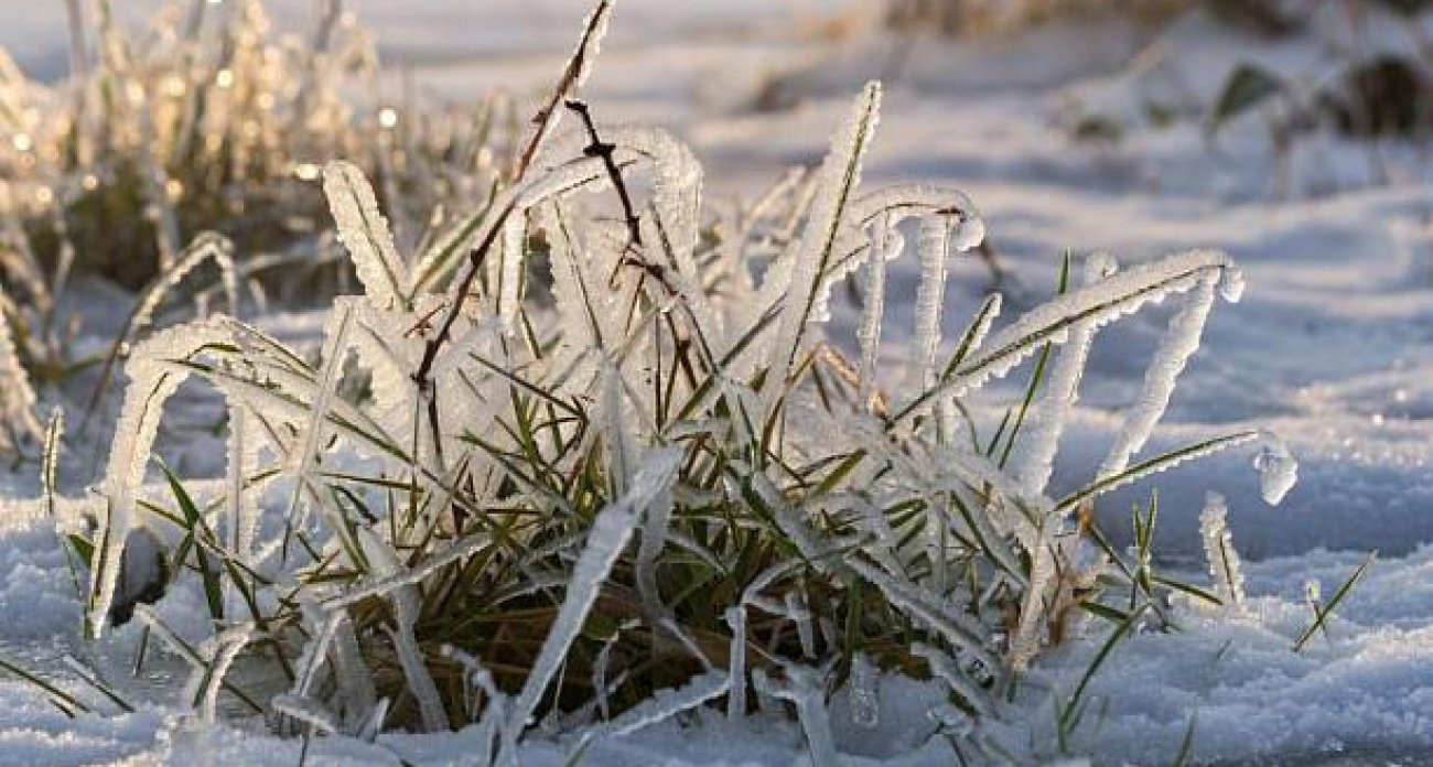 Мороз до -7°С и гололедица: водителей Ивановской области предупредили об опасности