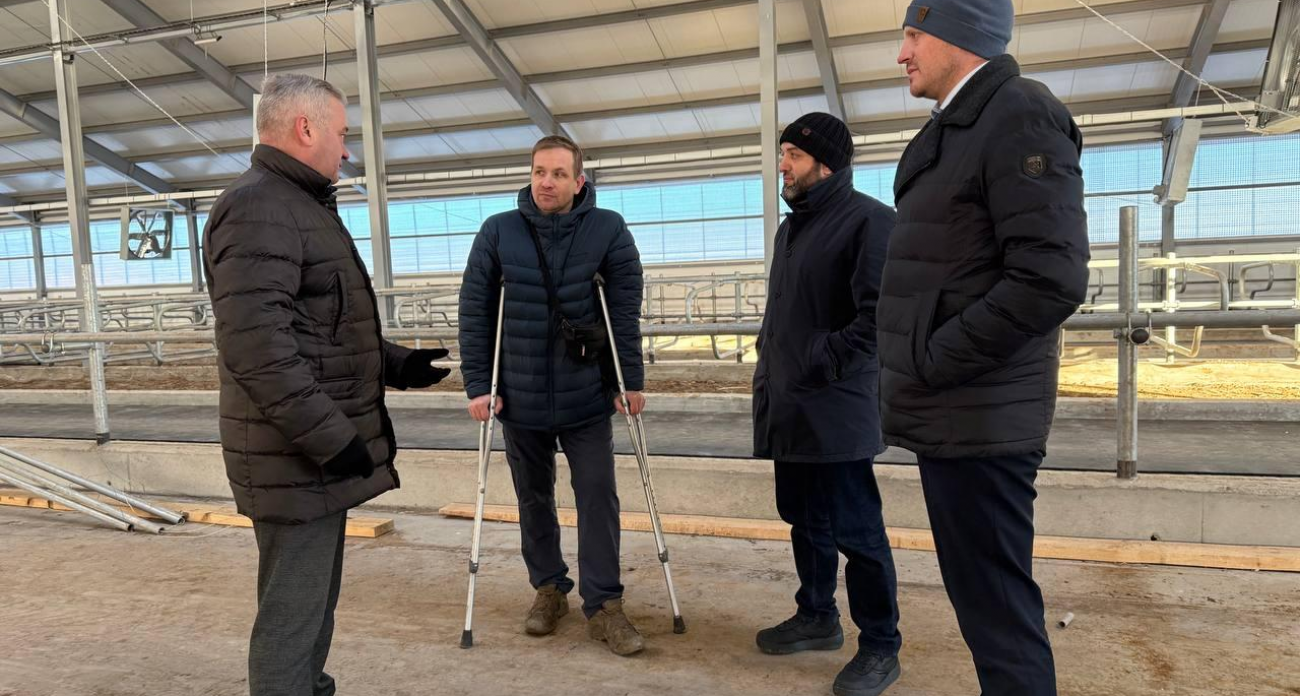 900 млн рублей в коров: племзавод Дзержинского удвоит стадо до 2900 голов к 2026 году