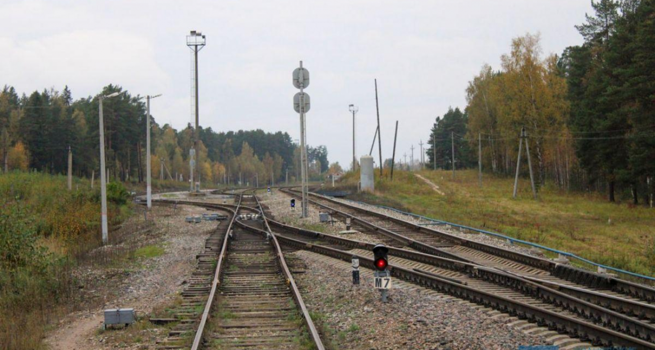 77 тысяч за месяц «парковки»: компанию наказали за вагоны на чужих рельсах