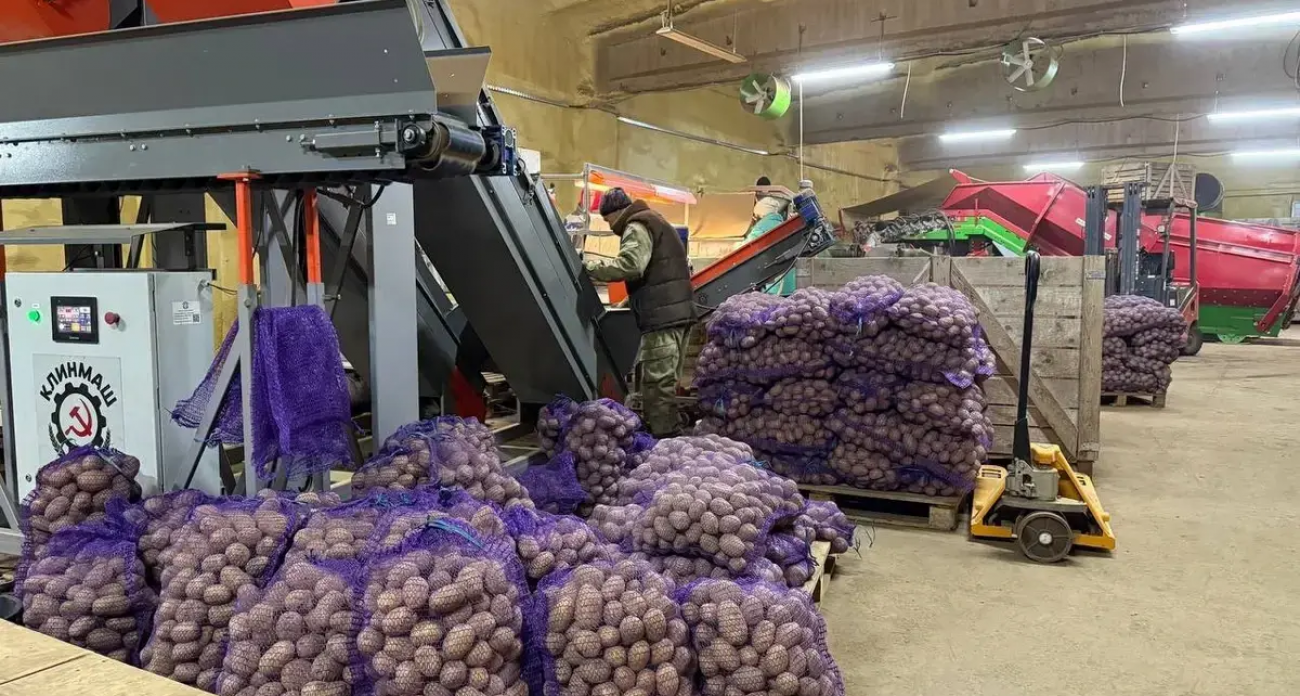 От 50 до 474 га за год: как Ивановская область возвращает к жизни 42 тысячи гектаров заброшенных полей