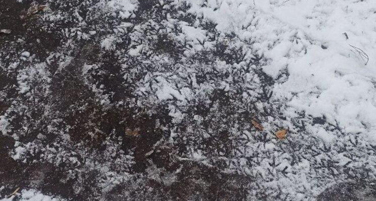 От -2° до +6° за день: ивановцев ждут гололед, туман и удар по здоровью