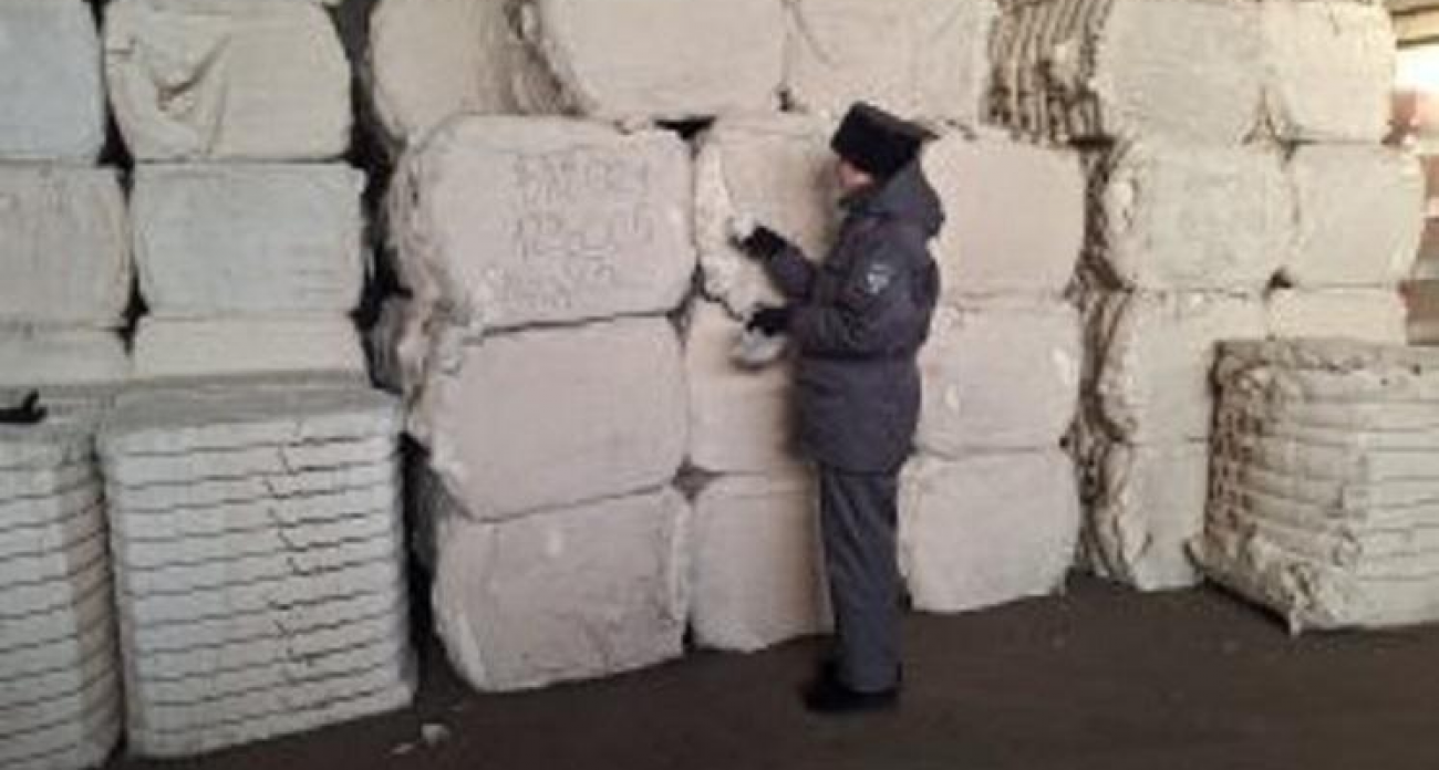 Россельхознадзор проверил семь партий узбекского хлопка: угроз не выявлено