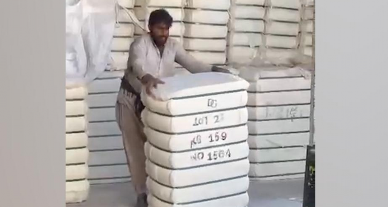 Первые 45 тонн афганского хлопка прибыли в Ивановскую область через узбекских посредников