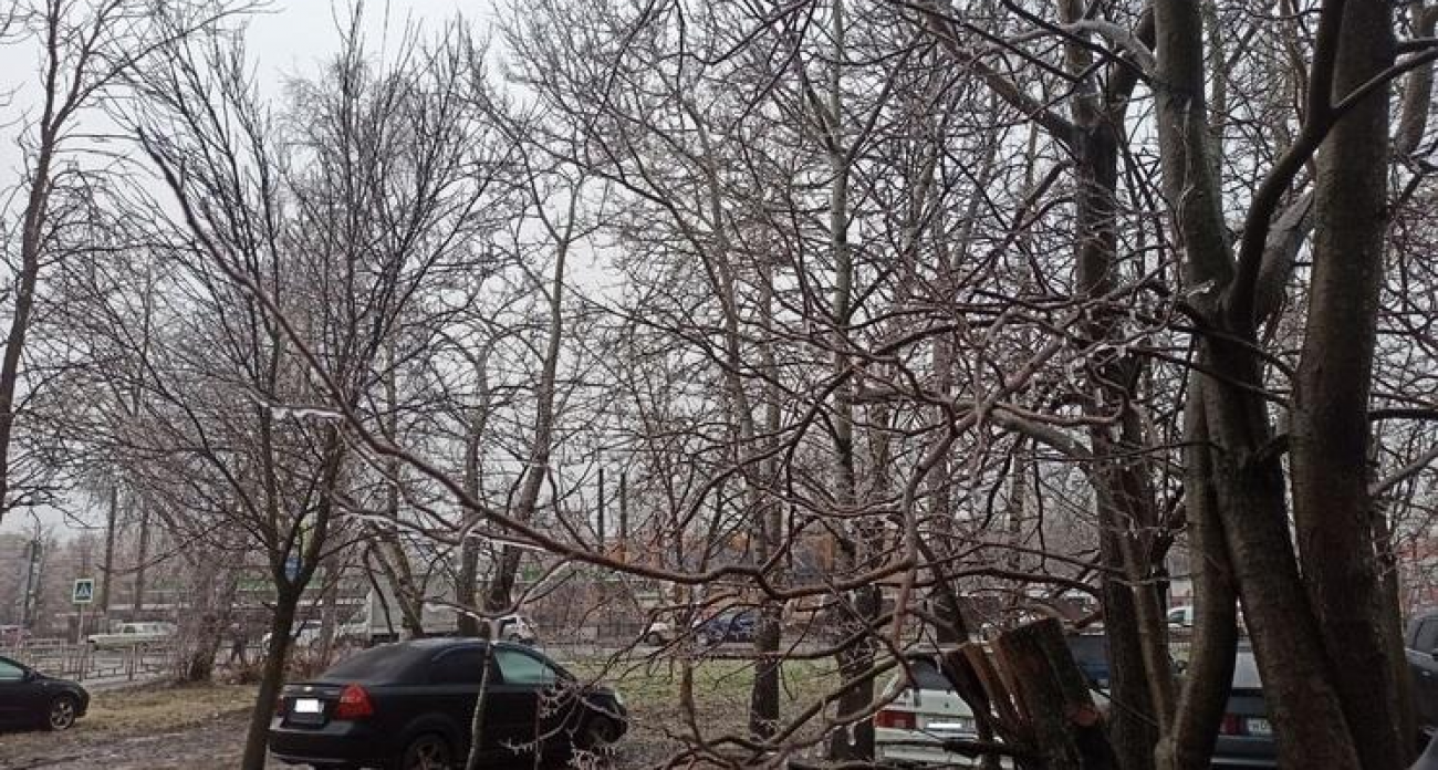 В Ивановской области 19 декабря: +3° и гололед вместо снега