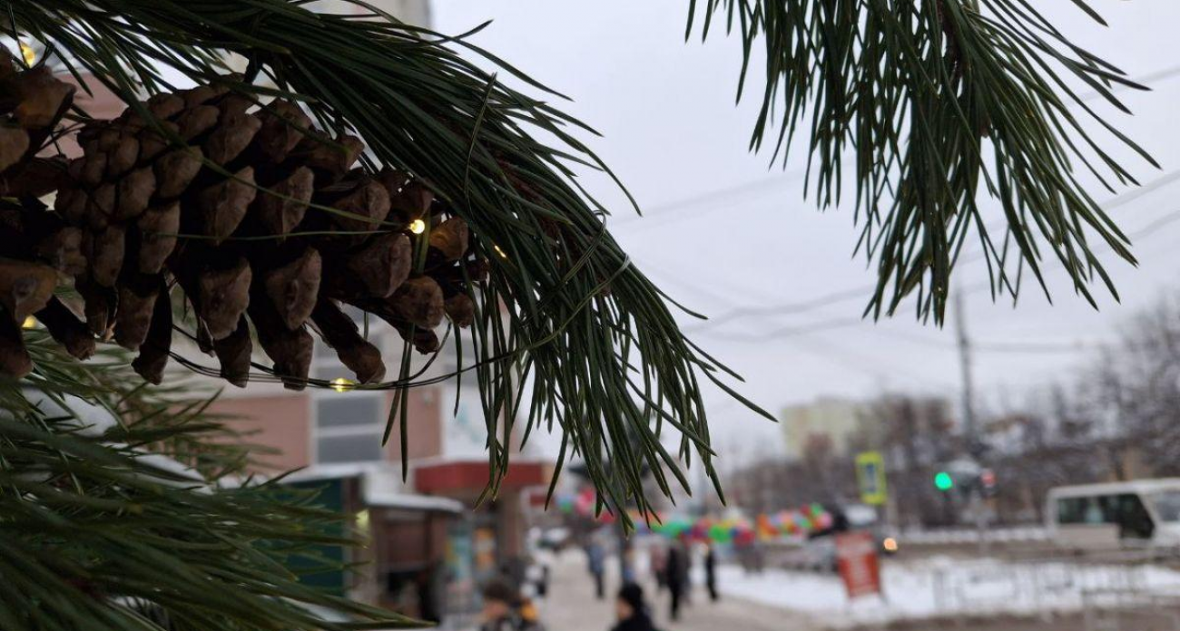 Снег в Ивановской области: выходные принесут -1…+2° и 65% осадков