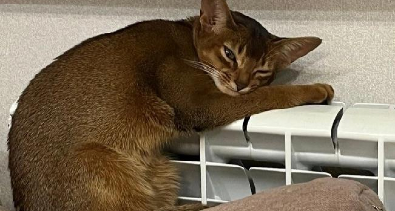 Отопление в Иванове: год срывов, аварий и борьбы с холодом