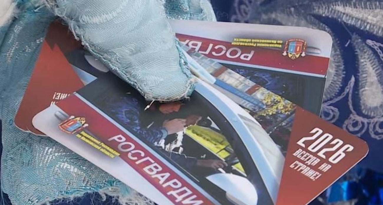 Росгвардейцы в костюмах Дедов Морозов учили ивановцев безопасности на праздник