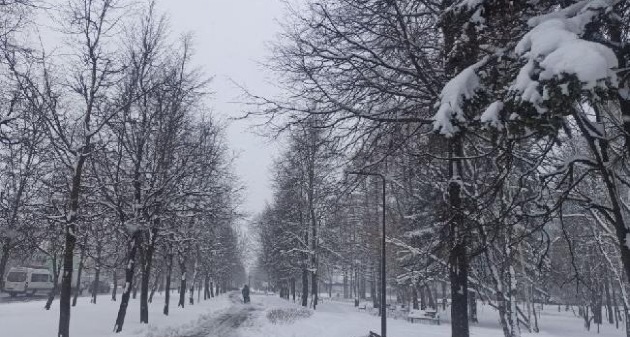 От выставки «Путешествие в Рождество» до зимних открытий: как жители Ивановской области создают свой чек-лист радостей