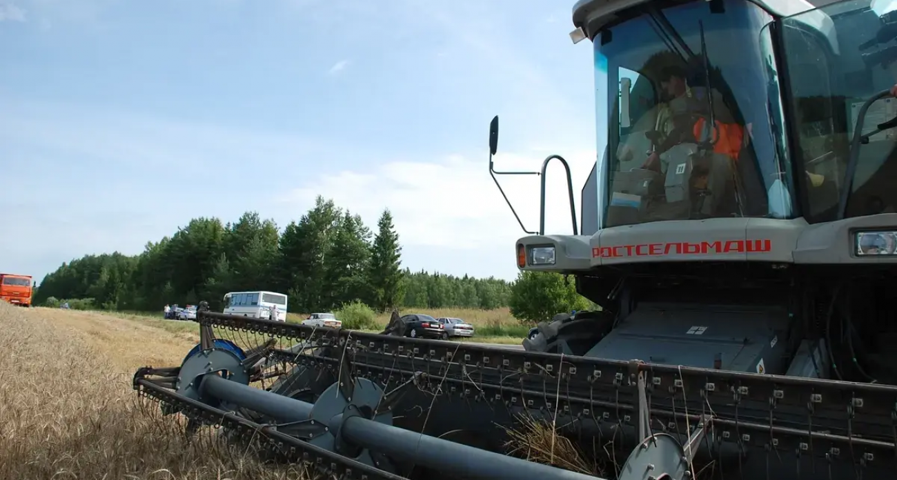 Прорыв в АПК: Ивановские фермеры нарастили производство на 4,3%, а яиц стало больше на 467 миллионов