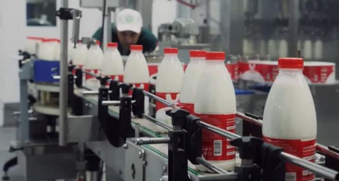 Молочный рекорд Ивановской области: производство кефира взлетело на 41%, а общий выпуск превысил 12,8 тыс. тонн