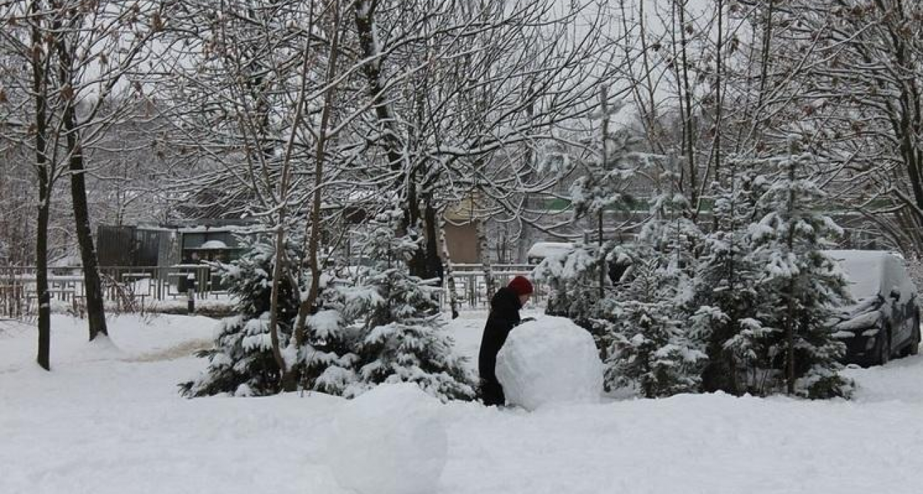 Шокирующие -19°: Ивановскую область накроет арктический холод с падением температуры на 10 градусов
