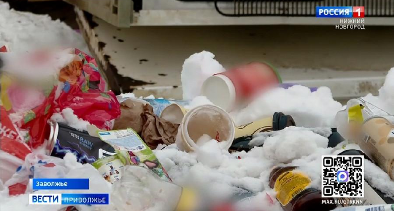 Тайная уборка перед камерами: в Заволжье мусор не вывозили неделями, оставив город на растерзание птицам