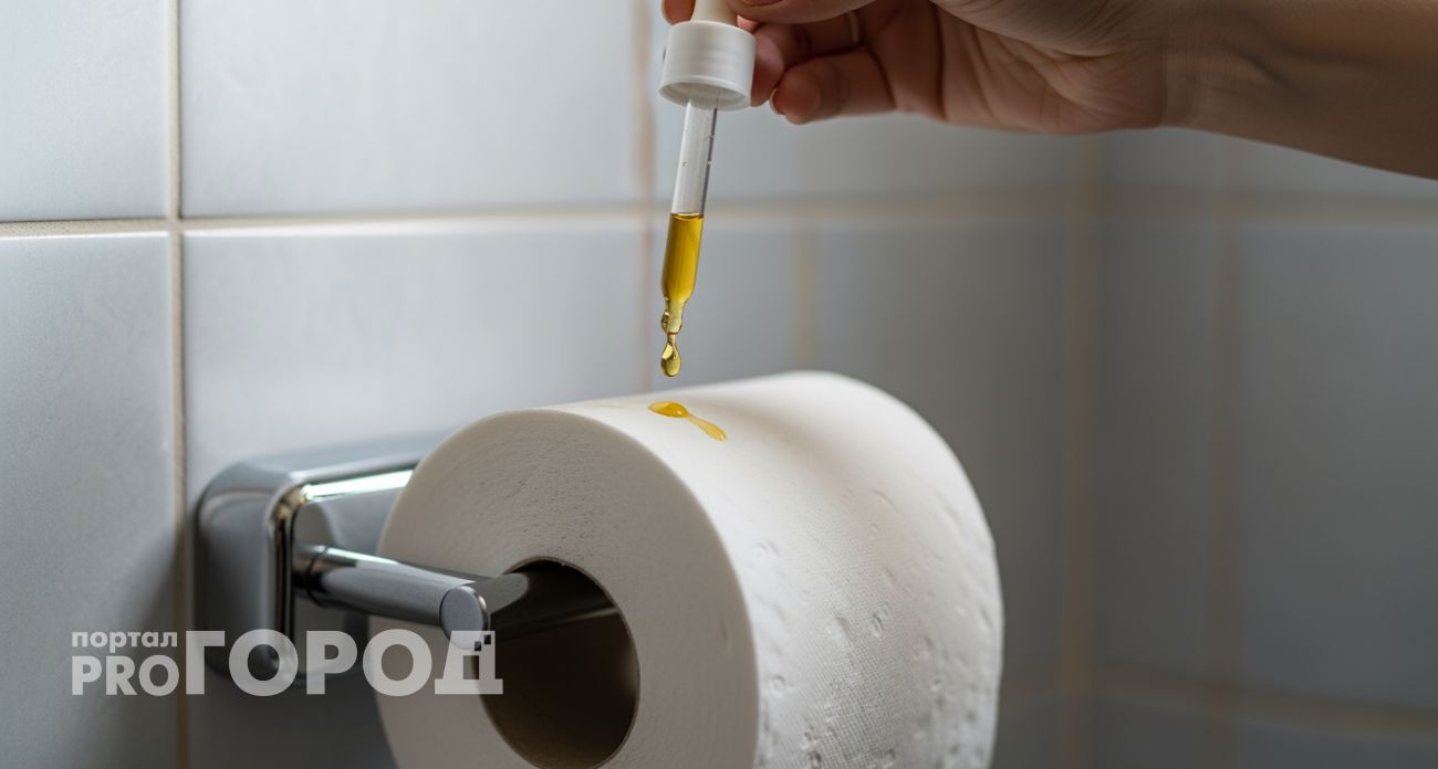 Втулка от туалетной бумаги превратит ваш санузел в оазис свежести дешевле любого спрея