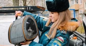 Сотрудница МЧС спасла жизнь кошке и собаке, у которых умер хозяин