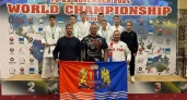Приволжские спортсмены завоевали медали чемпионата мира по всестилевому карате